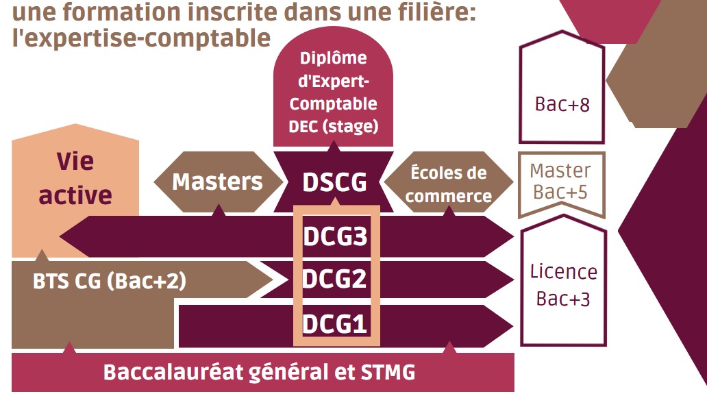 Dipl Me De Comptabilit Et De Gestion Dcg Grade De Licence L